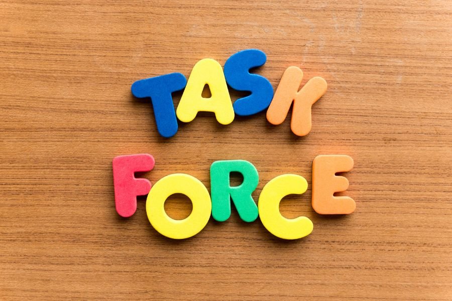 Task Force of AVGC